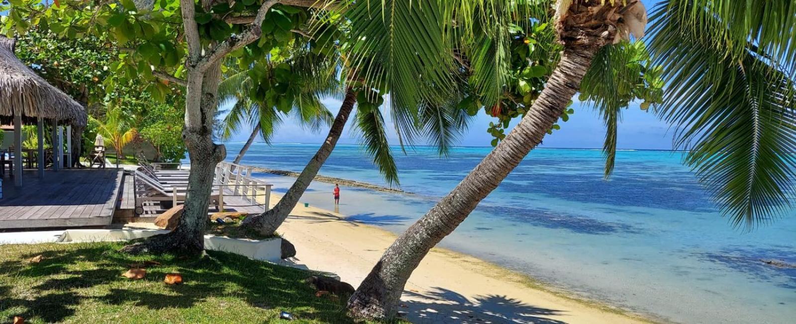 Moorea Island Beach Hotel Экстерьер фото