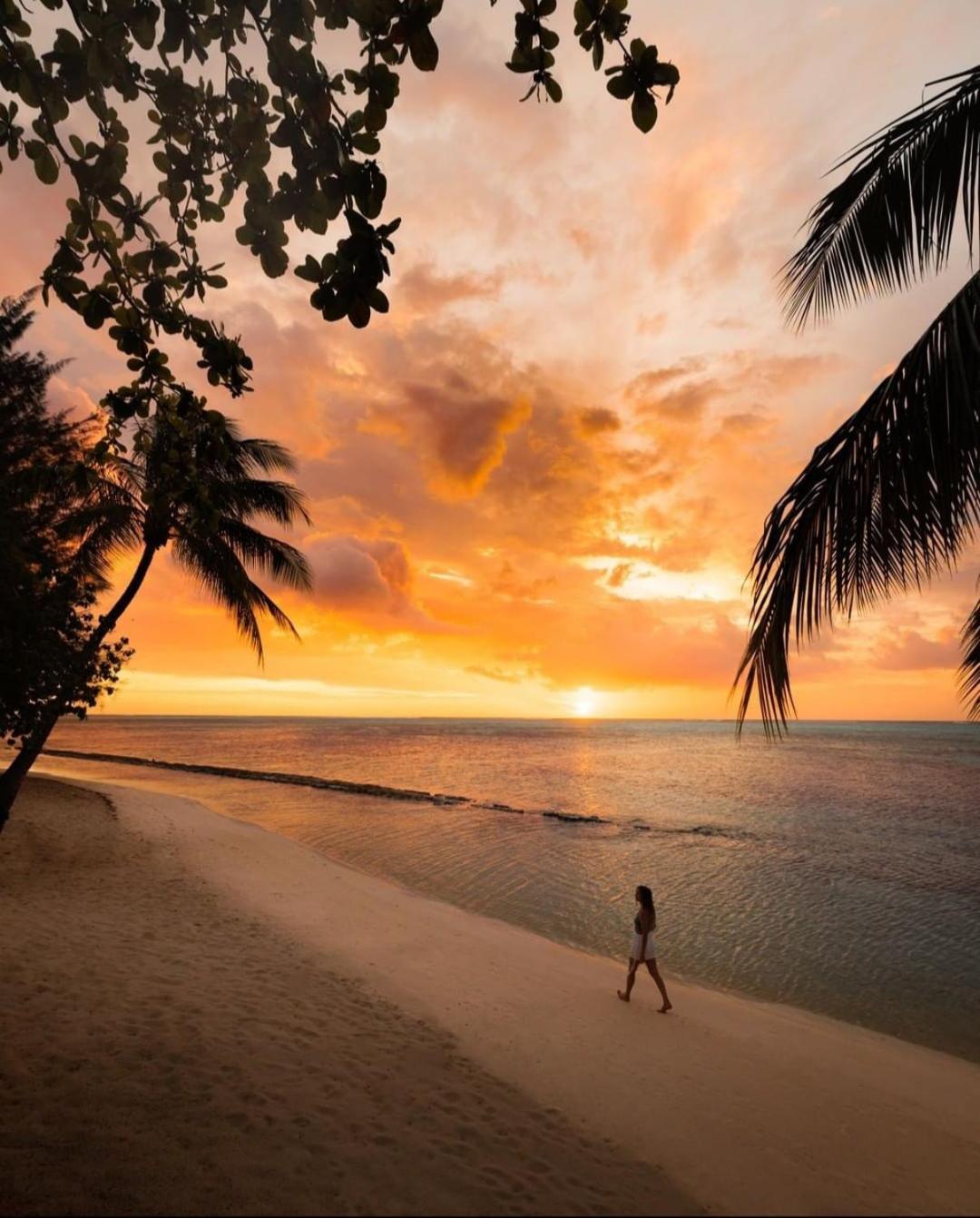Moorea Island Beach Hotel Экстерьер фото